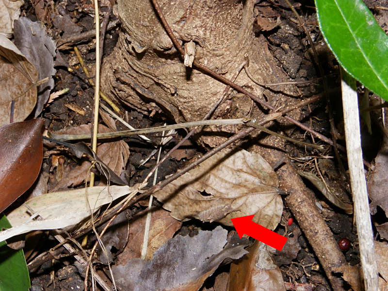 f0204094_22155949.jpg