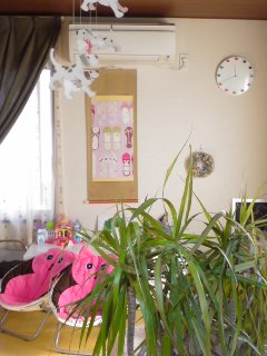 farst shose 2010・・・。_f0177295_11455298.jpg