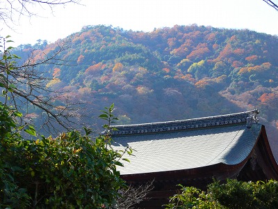 国内旅行2009年12月－京都－竹林、天龍寺_c0153302_20444816.jpg