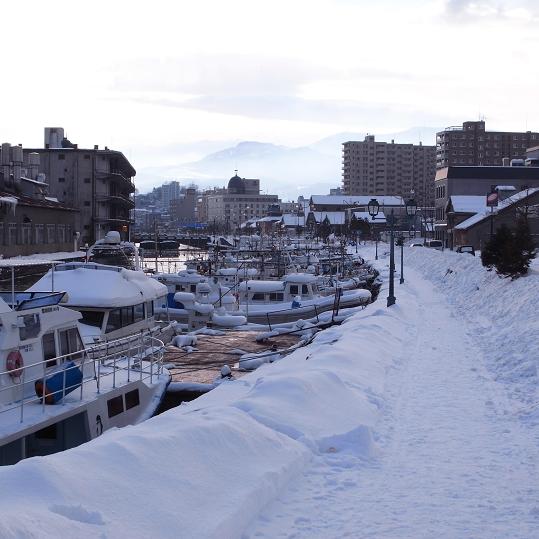 雪景色の北運河・・・_a0100204_11375022.jpg