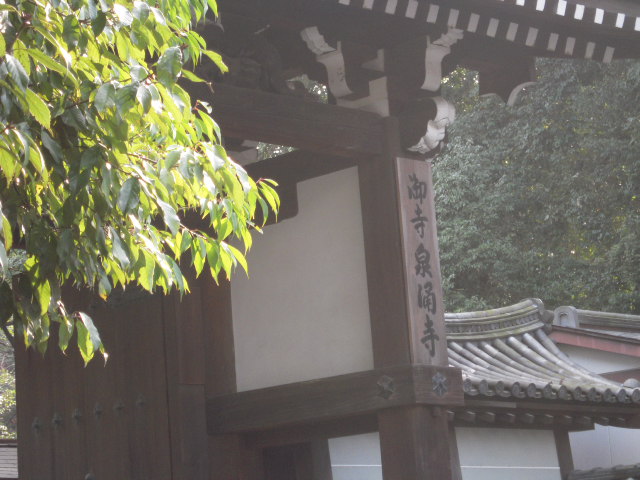 c0168308_2354416.jpg