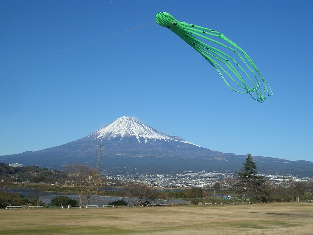 富士山と初夢？_f0141310_23291010.jpg