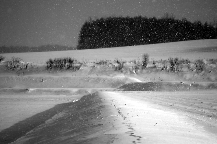 晴れ・曇り・雪_c0033513_22591913.jpg