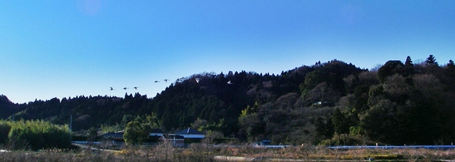 d0144618_20422048.jpg