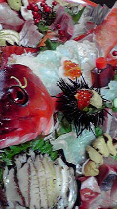 a0044019_11114714.jpg