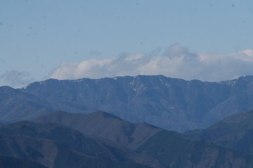 a0040021_0291654.jpg