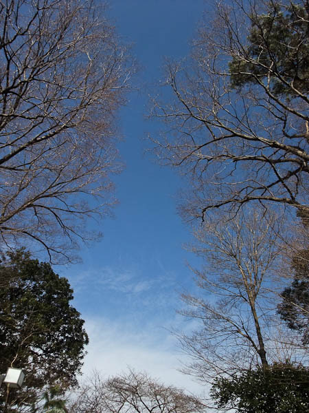 f0077521_21462451.jpg
