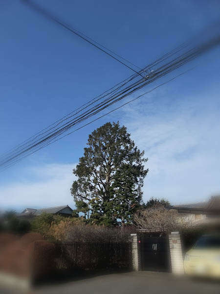 f0077521_21463914.jpg