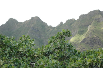 HAWAII 09 　＊KUALOA RANCH＊_f0111031_1022386.jpg