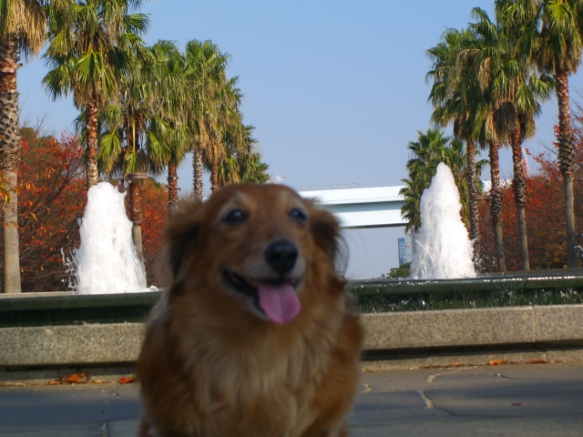 b0157532_1037175.jpg