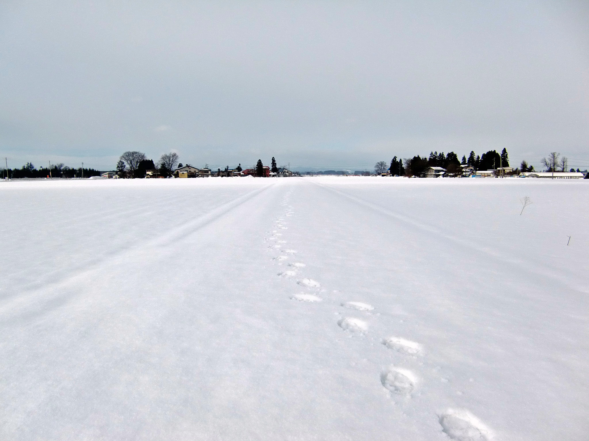 f0020336_16462619.jpg