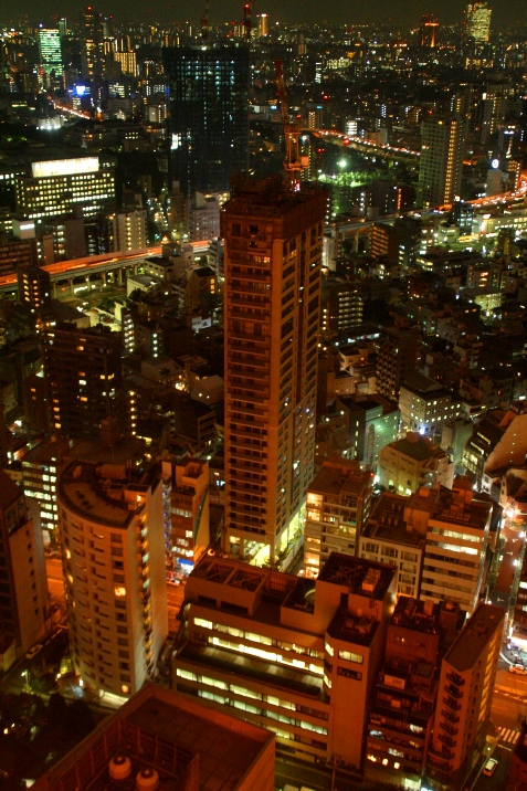 d0141239_16491.jpg