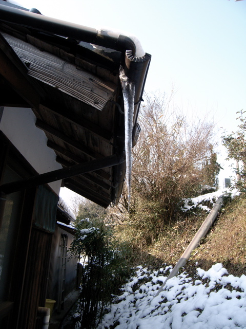 d0078841_15314028.jpg