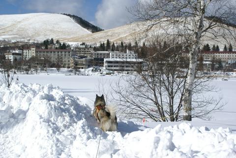 ２０１０年雪遊び第一段！_e0143442_18245015.jpg