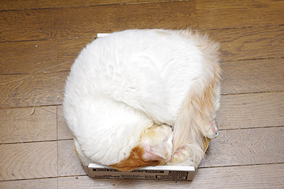 重い・・・_a0028451_19465141.jpg