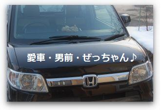 01/07・晴　　ロン毛は好きですか？？　(￣ｍ￣＊）プッ_b0112758_20471659.jpg