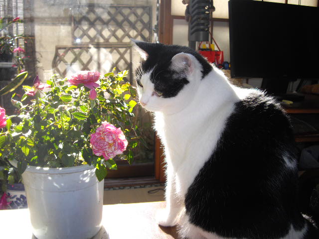 d0116059_1110303.jpg