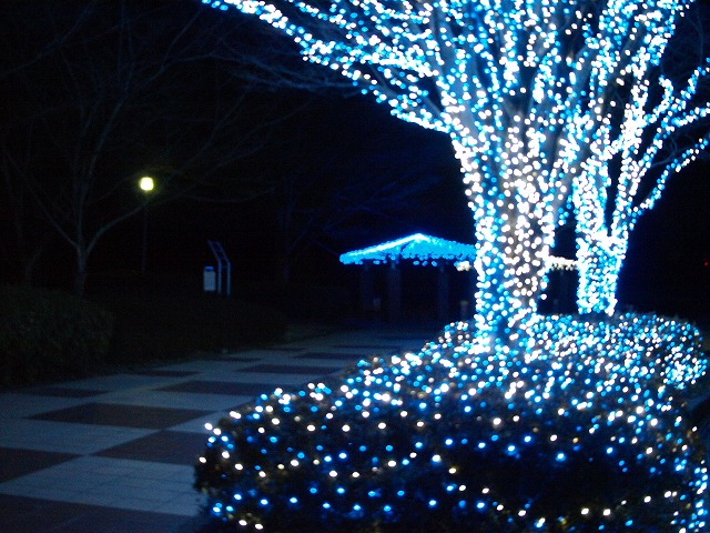 ＳＡのイルミネーション　その２_c0218772_19303730.jpg