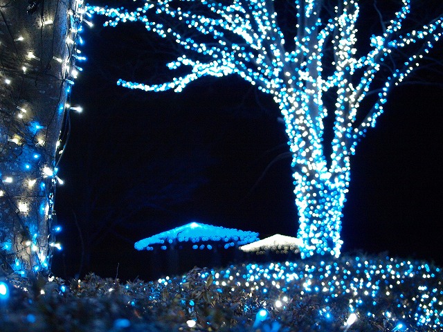 ＳＡのイルミネーション　その２_c0218772_19305553.jpg
