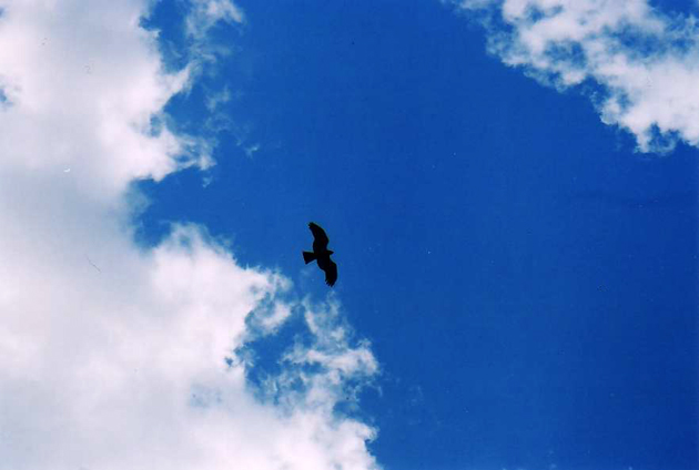 d0118876_205740100.jpg