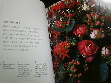 f0014183_1183083.jpg