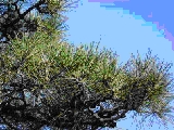 d0132489_18151461.jpg