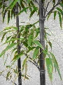 d0132489_1815336.jpg