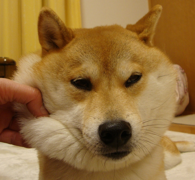 人生でMax!?_a0126590_17239.jpg