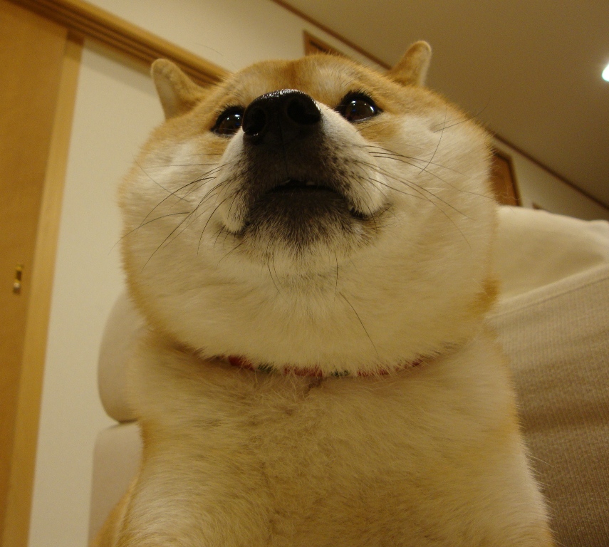 人生でMax!?_a0126590_181842.jpg