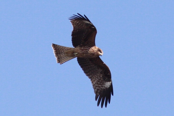 d0133693_2024188.jpg