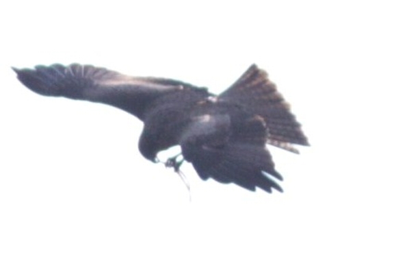d0133693_20245834.jpg