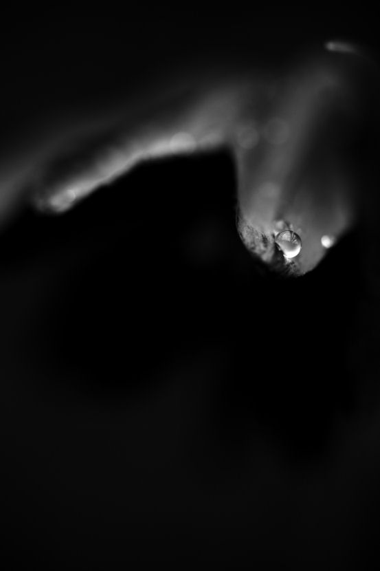 f0195893_6211012.jpg