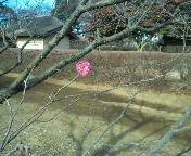 c0222400_7161283.jpg