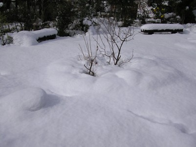 c0156104_23141140.jpg
