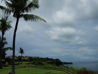 c0220105_23573379.jpg