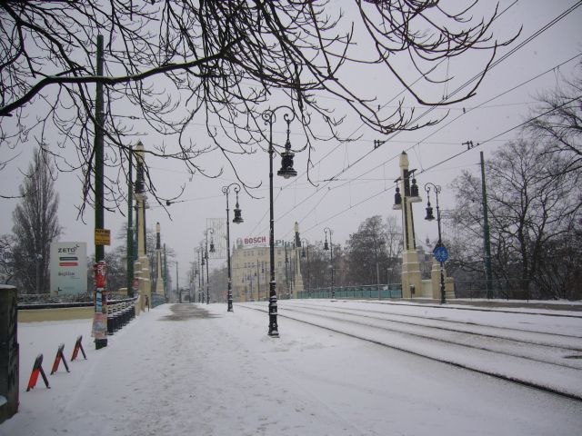 e0039206_1374788.jpg