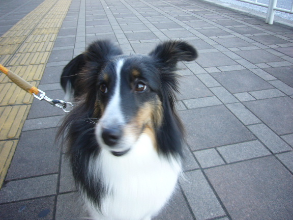 e0130008_19572621.jpg