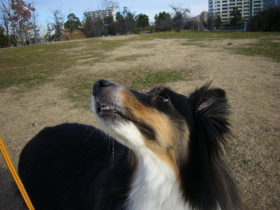e0130008_204547.jpg