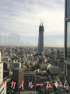 東京スカイツリー　～屋形船とボクと、時々、電車～_b0073414_6392537.gif