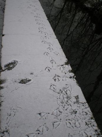 c0124619_4452659.jpg