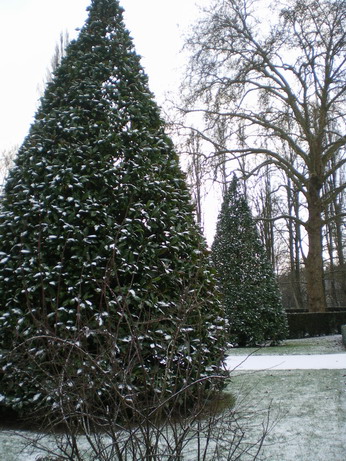 c0124619_5531713.jpg