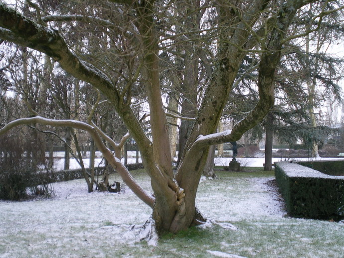 c0124619_554322.jpg
