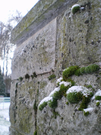 c0124619_5543611.jpg