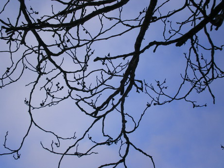 c0124619_555327.jpg