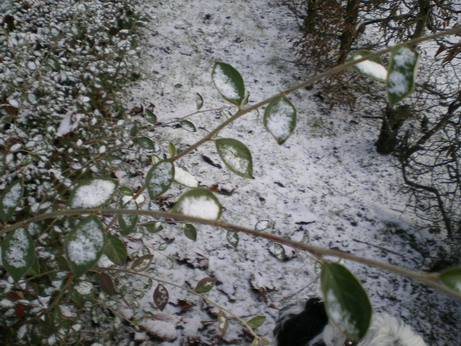 c0124619_5562719.jpg