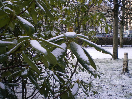 c0124619_5565084.jpg
