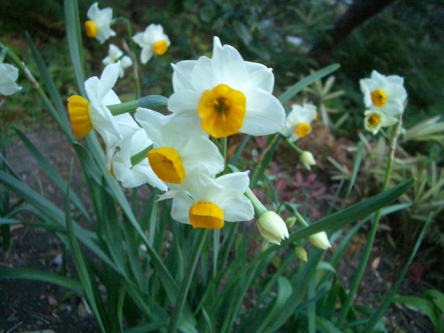 c0157323_18314779.jpg