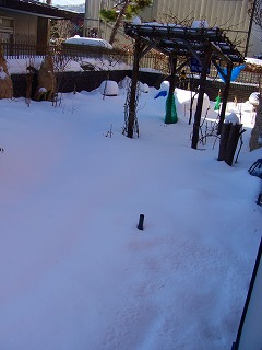 f0170524_12153285.jpg