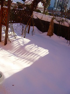 f0170524_1215368.jpg