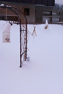 f0170524_12171031.jpg